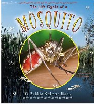 Mosquitoe